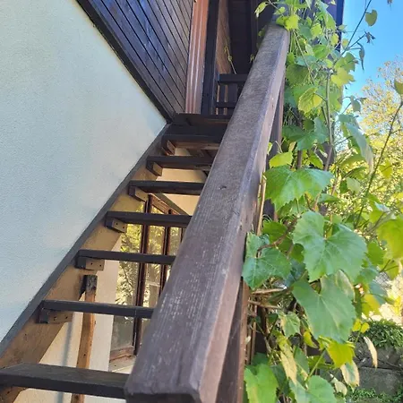 Gościnne U Wiewióry