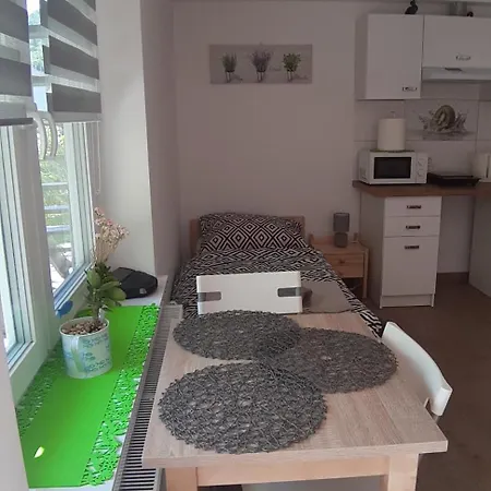 Apartamento Gościnne U Wiewióry *