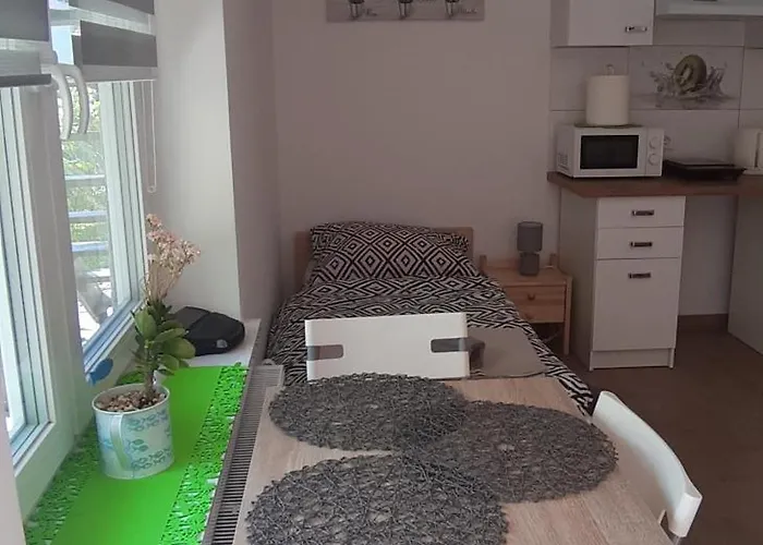 アパート Goscinne U Wiewiory *